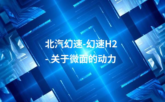 北汽幻速-幻速H2 - 关于微面的动力